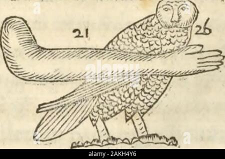 Athanasii Kircheri e SocIesu Obeliscus Pamphilius, hoc est, Interpretatio hucusque intentata noua & obelisci hieroglyphici quem pridem non ita ex vétérinaire hippodromo Caracallae Antonini, dans Caesaris forum agonale transtulit, integritati restituit & en Vbis Aeternae ornamentum erexit Innocentius : XPontMax in quo poster varia Aegyptiacae, Chaldaicae, Hebraicae, Graecanicae doctrinaeque qua sacrae antiquitatis, qua profanae, monumenta veterum tandem theologia, inuoluta hieroglyphicis symbolis, detecta e tenebris lucem en asseritur . Banque D'Images