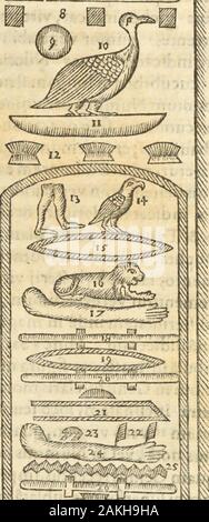 Athanasii Kircheri e SocIesu Obeliscus Pamphilius, hoc est, Interpretatio hucusque intentata noua & obelisci hieroglyphici quem pridem non ita ex vétérinaire hippodromo Caracallae Antonini, dans Caesaris forum agonale transtulit, integritati restituit & en Vbis Aeternae ornamentum erexit Innocentius : XPontMax in quo poster varia Aegyptiacae, Chaldaicae, Hebraicae, Graecanicae doctrinaeque qua sacrae antiquitatis, qua profanae, monumenta veterum tandem theologia, inuoluta hieroglyphicis symbolis, detecta e tenebris lucem en asseritur . C^j7r !FZLl ! !I !tr, TTTffTTT^ ! !r. ^^0 h&gt ;^^^ Banque D'Images