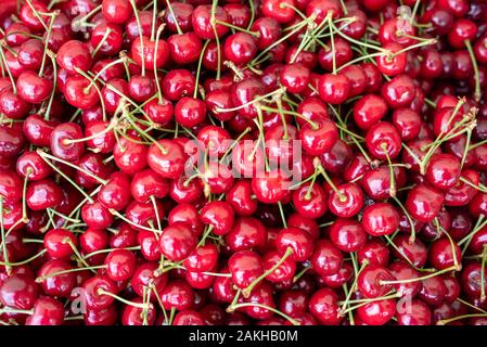 Tas de cerises fraîchement cueillies Banque D'Images