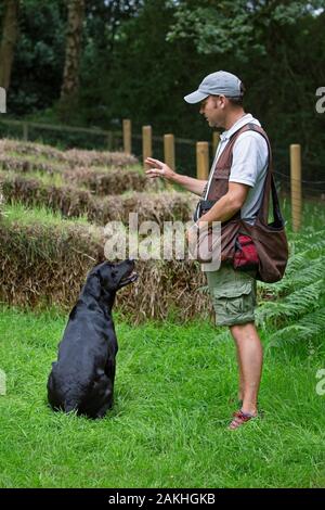 Entraîneur de chien de canon avec chien de travail d'entraînement du Labrador Banque D'Images