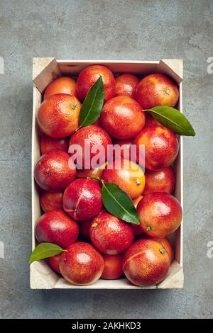 Les oranges et le sang les feuilles des arbres dans une boîte en bois sur un fond texturé gris. Banque D'Images