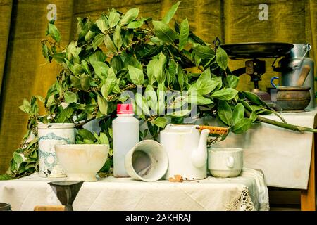 Still Life of Painter's studio tons verts outils Banque D'Images