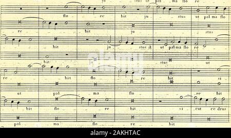 Primizie Di Canto Fermo Zaz Zaz J2 M 2 Zaz Wrf E Un M Zaz Zaz Zaz Pai M A A S E 2t O P P Y F