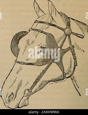 Source et sportif . CLABR0UGH & G0LCHER, LES FABRICANTS D'ARMES À FEU, RIFL OP ^,PISTOLETS ET DES MUNITIONS. Les importateurs d'articles de pêche Fine, -AGENTS POUR- Leonards bambou fendu LA TIGE. &Gt;l I I, un • KEHriltKV j )s. GLOVERS CÉLÉBRÉ DOQ-lfiht usine des médicaments. Marys Square. Birmingham, French.SALLES-631) Anil 63S MONTGOMERY ST.. S. F. CONSEILS. Trucs de toutes tailles pour la course au trot, la course, les chevaux peuvent être andRoad obtenue par l'application de PAUL FRIEDHOFER, 351, troisième St., San je tempêter isc. Répertoire d'éleveurs*. Amélioration de la bride aveugle & Winkers pour chevaux de course.. Secnretl par lettres patentes, le 25 juillet 1882. Avoir t Banque D'Images