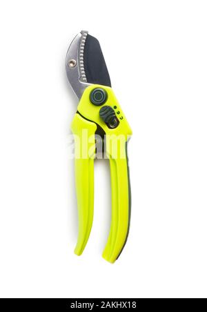 Portrait de l'élagage des sécateurs jardin isolé sur fond blanc - John Gollop Banque D'Images