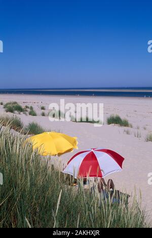 Les dunes, les îles de la mer du Nord, Basse-Saxe, Allemagne Banque D'Images