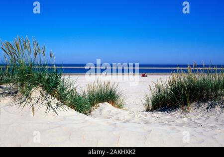 Les dunes, les îles de la mer du Nord, Basse-Saxe, Allemagne Banque D'Images