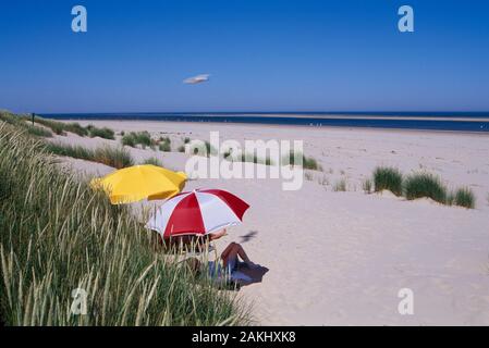 Les dunes, les îles de la mer du Nord, Basse-Saxe, Allemagne Banque D'Images