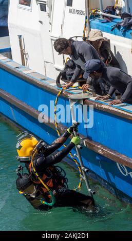 Hermanus, Western Cape, Afrique du Sud. Cours de formation de plongeurs professionnels, étudiant plongeur au bateau de grimper sur le nouveau port à Hermanus. Banque D'Images