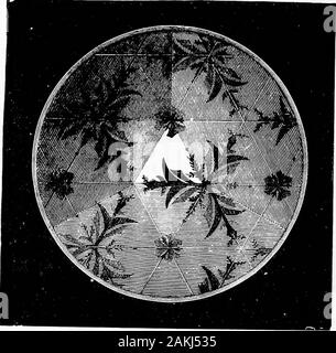 La lumière ; un cours d'optique expérimentale, principalement avec la lanterne . Fig, 20.-symétrique plusieurs images. à un pouce au-dessus de l'habituelle position centrale, et l'inclinaisonde les miroirs tourné vers le bas. C'est de s'assurer que tous les lumière qui accède à l'écran se reflète sur le bas et vers le haut de,,les miroirs ; et l'effet se resemblethat dans Fig. 21. 21. L'angle de réflexion. Doublé-Anothervery conséquence importante découle de cette loi d'equalangles. Il est évident qu'en changeant la position de la lumière. [Chap. miroir, la surface réfléchissante elle-même se déplace dans le sameangular di Banque D'Images