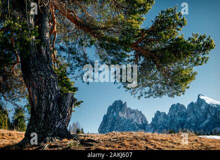 Belle dolomites en wintersnow frais Banque D'Images