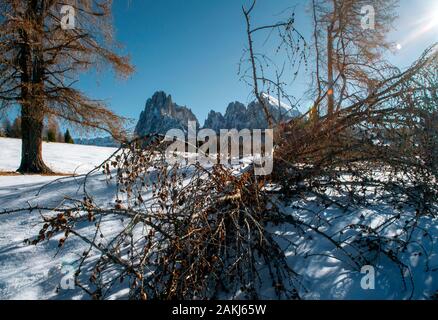 Belle dolomites en wintersnow frais Banque D'Images