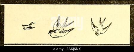 L'Ami : un journal littéraire et religieux . Bruner & Co. de COUR ET BUREAU DU CHARBON 16 Pas de vingt-et-unième Street Philadelphia spécial SS,000.00 Kund pour eJapan. Un groupe représentatif d'hommes et de femmes occupés collectors conféré ensemble un eveninglast^vv à eek 2 J Street. Ils avaient tous connu les difficultés très réelles en raison de l'actuel depres-sion dans les affaires. Ils w^ere difficile-ils n'aimaient pas de l'avouer, ils étaient découragés.Ensuite, ils ont commencé à raconter leurs expériences. Ils tous ont donné une note d'espoir-foundsympathetic ils avaient des auditeurs qu'ils avaient reçu de nombreuses réponses, bien que generall Banque D'Images