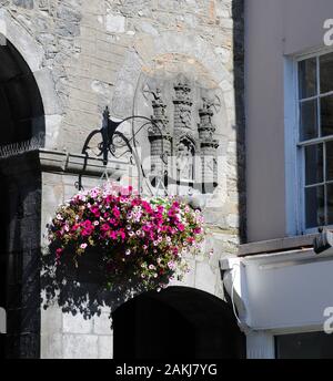 Sculpture relief du manteau des armes de Kilkenny sur le mur de l'hôtel de ville. Banque D'Images