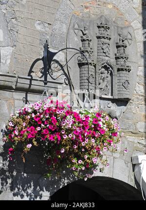 Gros plan sur la sculpture relief du Manteau d'armes de Kilkenny sur le mur de l'hôtel de ville. Banque D'Images