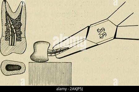 Pratique d'un traité sur l'art dentaire mécanique . Banque D'Images