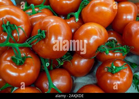 Tomates rouges mûres avec des branches vertes sur un supermarché à l'encontre de près. Banque D'Images