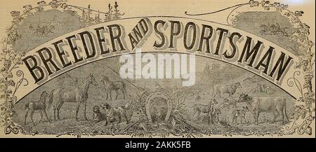 Source et sportif . *KZ.. SAN FKANCISCO. Samedi, 12 mai 1888. Notes et commentaires. Le Cbancelor de l'Échiquier se propose de percevoir un annnaltax de £5 sur la race-chevaux, qui suscite d'Peodragon ereethe dans l'Ife/remarEs suivants : les propriétaires de la race-horsesare déjà si lourdement handicapés et si cruellement hamperedthat J ne devrait pas être surpris d'apprendre que cette lastblow cansed de tous a plusieurs d'entre eux d'appeler dans theassistance de l'homme avec le marteau. Tel qu'il est, dans ninecases d'avoine tous les dix qu'ils fournissent le sport qu'otherpeople ; ils ne pouvaient profiter de pari, s'ils veulent parier, à lea Banque D'Images