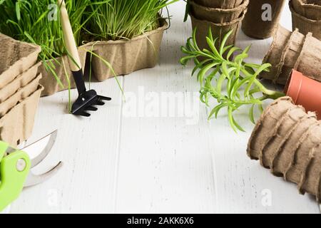 Jardinage du printemps still life concept. Divers accessoires pour les semis de gazon, des pots et des outils sur fond de bois blanc. Copier l'espace. Banque D'Images