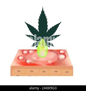 L'huile de marijuana en cosmétologie. Icônes de la marijuana cdb. Logo de cannabinoïdes. Feuilles de marijuana. L'huile de chanvre. L'infographie. Vector illustration isolé sur Illustration de Vecteur