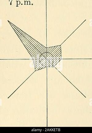 Les Andes du sud du Pérou, le long de la reconnaissance géographique soixante-troisième méridien . Fig. 100-roses pour Maclm Picchu, 20 août au 6 novembre 1912. basse vallée) ; d'où un gradient barométrique vers l'mountainbecomes établie. Au Machu Picchu le canyon d'Torontoytrends au nord-ouest, il y fait un virage d'un equallysharp bend nord-est directement en amont. L'componentsare non liées à la topographie. Ils représentent les métiers. La rose des vents ont été faites pour ces heures matin encore plus ancienne windswould être plus fidèle. Qu'est andnortheaster Banque D'Images