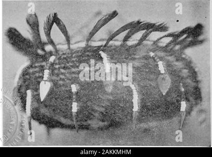 Les Indiens Pomo paniers et leurs décideurs . Variation de Perçoir Pattern. iPlate 3l le fardeau conique les paniers étaient appelés bu-gi et l'netwhich leur prise en charge a été appelé ka-bu. L'origine headnet a été faite de lin indigènes, mais à l'heure actuelle, hop la ficelle. Un POMU ** E-iI-CA. Platt 3i Banque D'Images