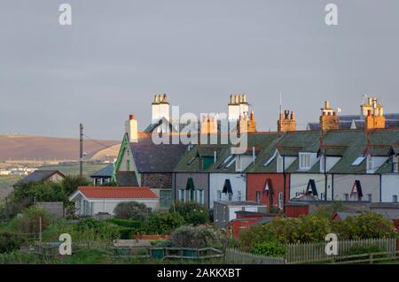 Le dos des maisons et leurs jardins avec des cabanes sur le haut d'une falaise, dans le village de pêcheurs de St Abbs sur la côte Est de l'Ecosse. Banque D'Images