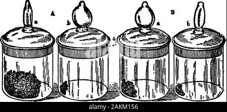 Bactériologie laitière pratique, prête à l'usage des étudiants, producteurs, et tous les intéressés par les problèmes de la relation du lait pour la santé publique . tout estimationof ces particules comme sont trop petites pour sedimentingor centrifugalizing séparé par, et qu'ils ne donnent aucune indication de l'portionof la saleté qui peut avoir été dissous dans le lait. L'ab-soluté quantité de saleté trouvés n'est d'aucune importance, mais ifnumerous estimations sont faites par la même personne une série sur des échantillons de lait, les quantités relatives indique therelative la propreté des différents échantillons. Les estimations faites Banque D'Images