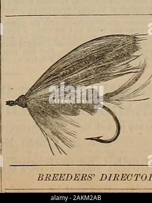 Source et sportsman . harueos et sellerie, et par le titulaire aud Fabricant. En ordonnant de donner la largeur de la bouche. La mesure de l'extérieur. tlieek lo HARRY LOWE, MONTPELIEE, Vermont. Toutes les personnes sont avertis de se méfier d'infractions, d'imitations, ou clyTermed FuJ*amélioration de ce bit. Rechercher le nom et la date de brevet sur eachone. CLABROUGH & G0LCHER LES FABRICANTS D'ARMES À FEU, de l'OP. Pistolets et fusils, munitions. Les importateurs d'articles de pêche Fine, -AGENTS POUR- Leonards bambou fendu LA TIGE. Je m I. UNE .11 • S K E S T I " ? K y I ! E E I. GLOVERS CÉLÈBRE CHIEN MEDIC 1USINE XES-15bt. Marys, Birmi carrés Banque D'Images