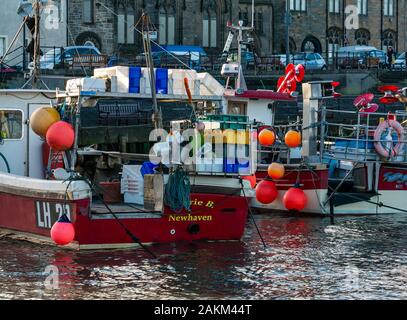 Les bateaux de pêche amarrés dans le port de Newhaven, Édimbourg, Écosse, Royaume-Uni Banque D'Images
