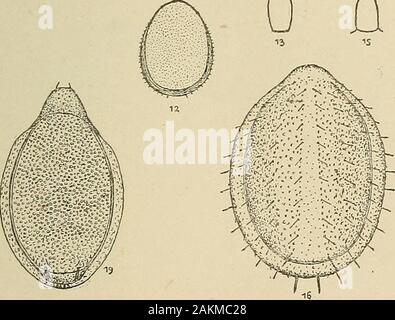 Opérations de la Natural History Society of Northumberland, Durham et Newcastle-upon-Tyne . 0 n. Banque D'Images