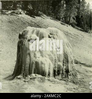 Organisé ou participé à des expéditions par la Smithsonian Institution.. . Le ?Mfik mmm^ Fig. 3.-Lone Star Geyser en action. Dans les eaux chaudes siliceux depositedto forme très beau cône, debout sur une grande masse d'une siliceousdeposits uniformément. Photo de Walcott. SMITHSONIAN MISCELLANEOUS COLLECTIONS VOL. 66 Durant les enquêtes et la collecte-, de nombreuses photographies, dont certaines sont ici reproduits, ont été prises par M. et Mme Walcott, de geysers et de sources chaudes, et des dépôts effectués par l'évaporation des eaux de la matière organique et des organismes. Les collections ont été appelés pour la v Banque D'Images