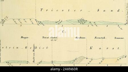 Neues Jahrbuch für Urbanisation, Geognosie, Geologie und Petrefakten-Kunde . CusteLcenere. Cfqjo cLJstritL. ^^ ^ 2 Ho V°°g. Se^iscuLU.. JJj-o.VjkoTiJ : a . J{asc/i et,. . TJuil lHuJbxJit . S^ Feit . J^lUVOS ? Banque D'Images