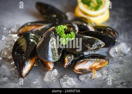 Des moules crues avec des herbes et citron plaque sombre contexte / des fruits de mer les fruits de mer sur glace dans le restaurant ou à la vente dans le moule du marché alimentaire shell Banque D'Images