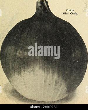 Farquhar's garden : annuel 1918 . L'opération est impossible à moins que le sol est très riche et bien tenues. Utilisation de fumier bien décomposé librement, et d'obtenir la récolte dans le plus tôt possible inSpring, même si le temps est froid et désagréable. Semer dans un pied en dehors des exercices et couvrent environ un tiers de pouce, marcher ou rouler après le semis de manière à ce que le sex, atmosphère sèche peut ne pas détruire la germination des semences. Lorsque trois pouces de haut, mince à deux pouces à part. Remuer le sol librement sans perturber le youngplants et garder à l'abri de mauvaises herbes. 0"e once de semences à 100 pieds de percer ; -i de o livres l'acre. Farquhars Banque D'Images
