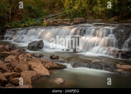 Tad Lo Cascades en Plateau des Bolavens, sud du Laos Banque D'Images