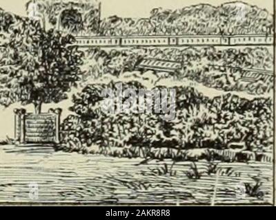 Les arts dans la maison de Condé . Le pahterre wgeiue de lOh.l. gvleiue des V.TPE, le p.vmllon Vpollo.d.n Le JeL UE PAL.Moi et major attachment claimant dans les jardins du Luxembourg, furent reslituis Condésous au prince de la restauration ; ils décorent aujourdhui la terrasse du grand parterre deChantilly. La galerie des vases, au long de laquelle coulait le ruisseau fourni par la fontainedes Cerfs, fut terminée au mois de mai 1785. En même temps fut construit le pavillondApollon. A gauche, le théâtre se trouvait ainsi dégagé. A droite, sur lemplacementdu pavillon des étuves, sur descendait par un àlile dAmour Banque D'Images