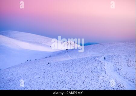 Lumière douce du matin sur le sommet des montagnes d'hiver Fatra, Slovaquie. Banque D'Images