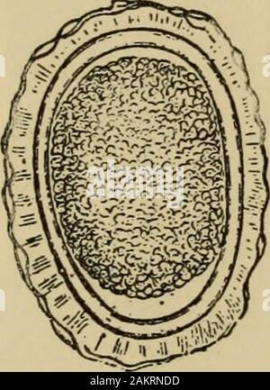 Un texte américain-livre sur les maladies des enfants .. . Banque D'Images