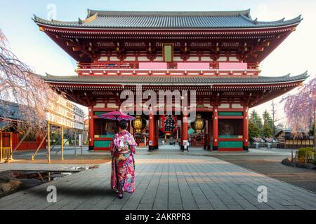 Young Asian woman wearing Kimono tradition japonaise habillée sightseeing at Sensoji Temple gate avec cherry blossom tree durant la saison du printemps dans mes rêves Banque D'Images