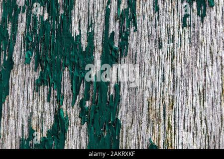 Vue rapprochée détaillée sur les textures de surface en bois en haute résolution Banque D'Images