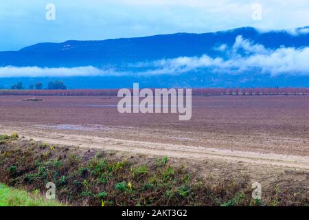 Vue sur campagne et paysage dans la partie nord de la vallée du Jourdain, par une journée d'hiver. Le Nord d'Israël Banque D'Images