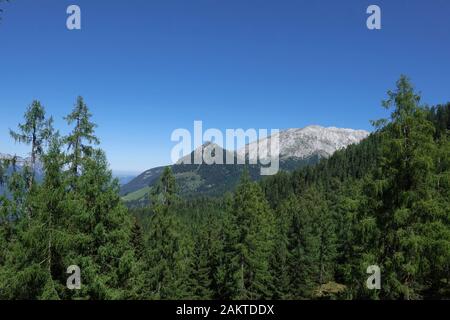 04 septembre 2019, la Bavière, Schönau : La vue de la Gotzenalm au paysage de l'Alpes de Berchtesgaden. Photo : Soeren Stache/dpa-Zentralbild/ZB Banque D'Images