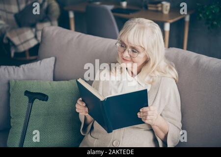 Gros plan portrait de sa belle jolie jolie jolie fille à poil gris focalisée assise sur divan lecture intéressante roman dépenser la retraite à plat Banque D'Images