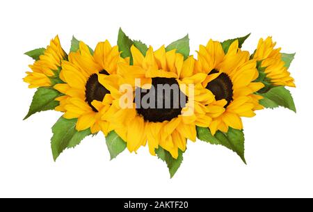 Tournesols jaunes et de feuilles vertes à la vague de l'été de l'arrangement. Mise à plat. Vue d'en haut. Banque D'Images