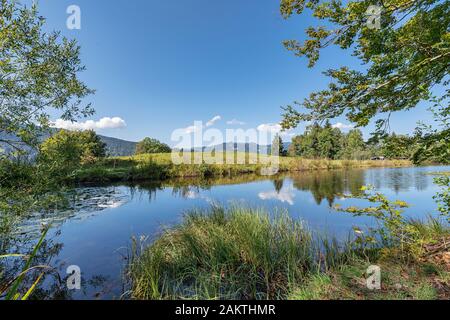 Les nuages se reflètent sur la Moorweiher à Oberstdorf / Bavière Banque D'Images