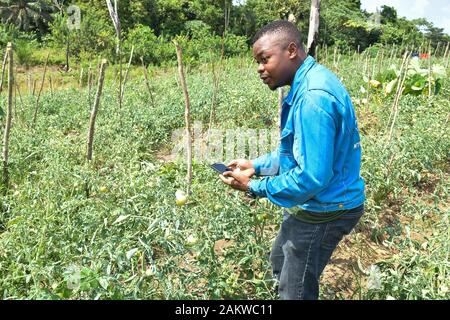 Yaoundé, Cameroun. 6e déc, 2019. Landry Doko co-fondateur de Agrix Tech, une application mobile qui détecte les maladies des plantes au stade primaire par l'analyse de photos de la cultures malades, est perceptible au niveau du terrain à Dibombari, le Cameroun, le 6 décembre 2019. Pour aller avec la fonction 'Cameroun : développer les start-ups du mobile app pour aider les agriculteurs locaux en matière de crédit : Jean Pierre Kepseu/Xinhua/Alamy Live News Banque D'Images