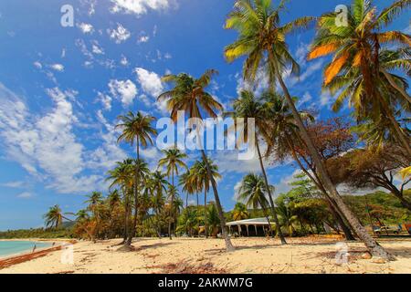 Plage de Capesterre à Marie Galante Banque D'Images