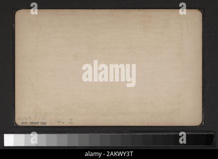 Camp rustique, Central Park, NY photoprints colorés à la main. Comprend sept vues colorés à la main. Comprend des vues par J. W. & J.S. Moulton, D. Barnum, et d'autres photographes et éditeurs. Robert Dennis Collection de vues stéréoscopiques. Structures dans Central Park, y compris les arbres, le belvédère, une camera obscura, le Casino, conservatoire, la Laiterie, dove cot, fontaine d'eau potable, eaux minérales ou spa, la ménagerie ; Mt. Saint Vincent, Art building, d'autres structures ; pupitre à musique et des tentes à proximité pour un événement, foule et pour l'événement, rustique arbor, maisons d'été, à pied et recouverte de vigne le jardin Central Park Banque D'Images