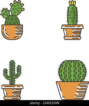 Chambre cactus dans couleur icons set. Plantes Succulentes. Collection de cactus. Le figuier de barbarie, cactus hérisson, saguaro, cactus du fourreau. Illustrations vectorielles Illustration de Vecteur